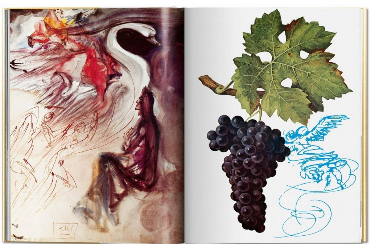 Книга Los Vinos de Gala
